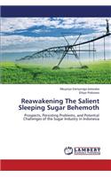 Reawakening the Salient Sleeping Sugar Behemoth