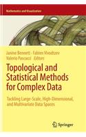 Topological and Statistical Methods for Complex Data