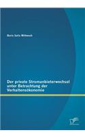 private Stromanbieterwechsel unter Betrachtung der Verhaltensökonomie