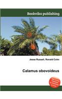 Calamus Obovoideus: (English)