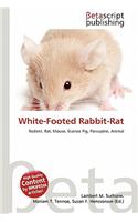 White-Footed Rabbit-Rat