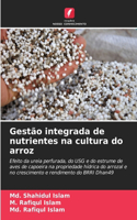 Gestão integrada de nutrientes na cultura do arroz