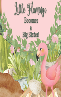 Little Flamingo Becomes a Big Sister!