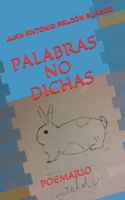 Palabras No Dichas