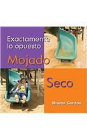 Mojado, Seco (Wet, Dry)