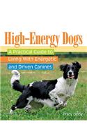 High-Energy Dogs