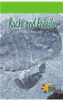 Rocks and Fossils