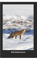 Plan On It 2020 Weekly Calendar Planner - Fox In The Winter Snow