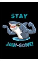 Stay Jaw-Some