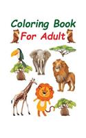 Coloring Book for Adult