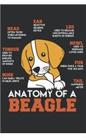I love my Beagle