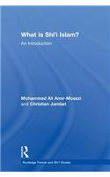 What Is Shi'i Islam?