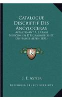 Catalogue Descriptif Des Ancyloceras: Appartenant A L'Etage Neocomien D'Escragnolles Et Des Basses-Alpes (1851)(French)