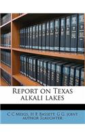 Report on Texas Alkali Lakes