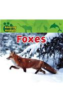 Foxes