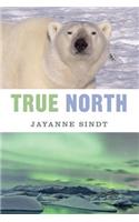 True North