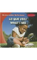 Lo Que Veo / What I See