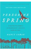 Peregrine Spring