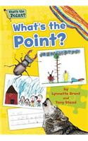 What's the Point? Grade K Big Book