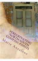 Peregrinating North-South Compass Points