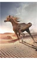 Arabian Horse Gallops in the Sand Journal: 150 page lined notebook/diary