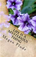 Life Is A Mysterious Thing