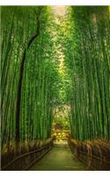 Romantic Path Through a Bamboo Forest Journal: 150 Page Lined Notebook/Diary