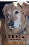 Until Now an Auto'Pup'Ography