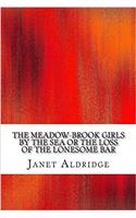 The Meadow-brook Girls by the Sea or the Loss of the Lonesome Bar