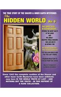 The Hidden World No. 6