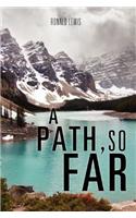 Path, So Far