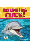 Dolphins Click!