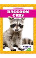 Raccoon Cubs
