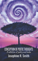 Conception of Poetic Thoughts
