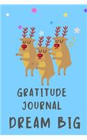 Gratitude Journal Dream Big