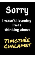 Sorry I Wasn't Listening I Was Thinking About Timothée Chalamet