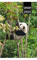 Panda Bear Week Planner Weekly Organizer Calendar 2020 / 2021 - Climb Up