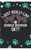I Just Really Like Bernese Mountain Ok?: Cool Bernese Mountain Dog Journal Notebook - Bernese Mountain Puppy Lover Gifts - Funny Bernese Mountain Dog Notebook - Bernese Mountain Owner Gifts