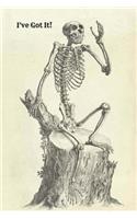 I've Got It! Skeleton Journal