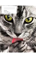 Cat Composition Notebook