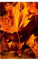 2019 Weekly Planner Fall Leaves Ground 134 Pages