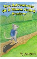 Adventures Of A Mouse Called Meadow