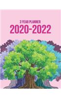 3 Year Planner 2020-2022