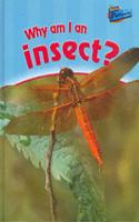 Why am I an Insect?