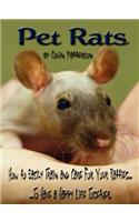 Pet Rats