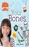 Human Body: Your Bones