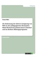 Bedeutung der aktiven Aneignung von Welt in den pädagogischen Konzepten Maria Montessoris, Johann Amos Comenius' und im Berliner Bildungsprogramm
