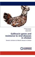 Gallinacin genes and resistance to viral diseases in chicken