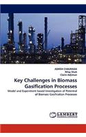 Key Challenges in Biomass Gasification Processes