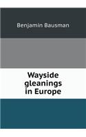 Wayside gleanings in Europe